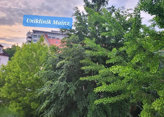 Schoenes, Vollmoebliertes Direkt An Der Uniklinik マインツ